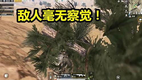 完美敌人,揭秘与完美敌手的智慧较量